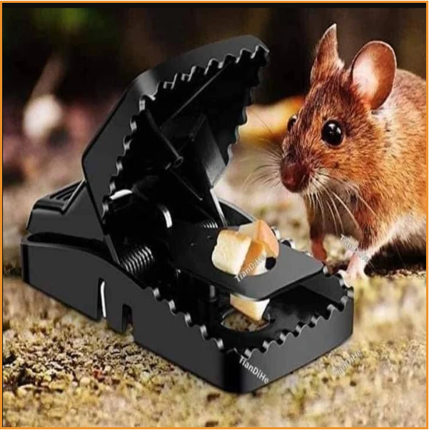 4P RAT TRAP FOR OFFICE AND HOUSE