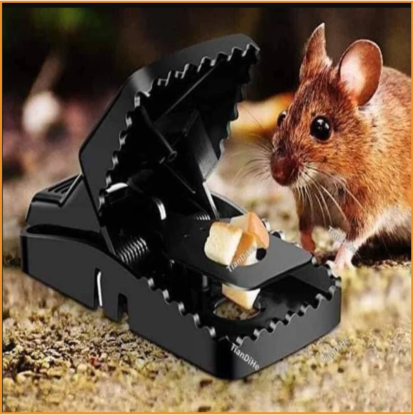 4P RAT TRAP FOR OFFICE AND HOUSE ইঁদুর মারার ১০০ পার্সেন্ট কার্যকরী যন্ত্র